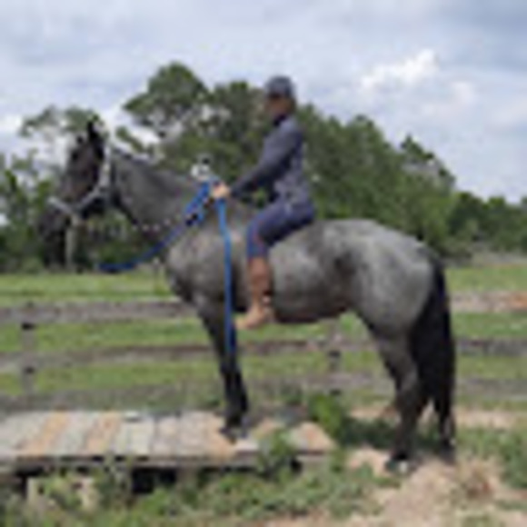 Meet your Posher, Alison - Picture 1 of 1